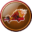 warbirds Team Page