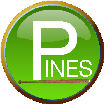 Pines Team Page